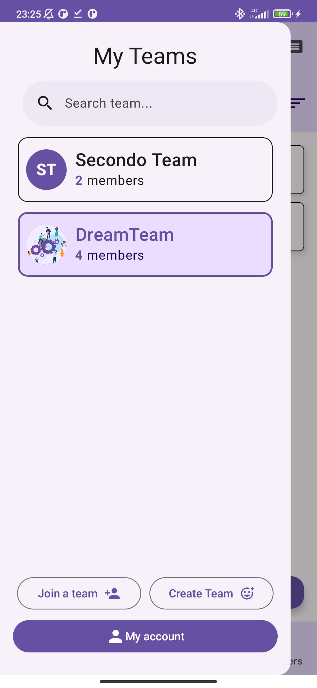 Team List
